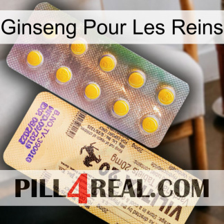 Ginseng For Kidney new06